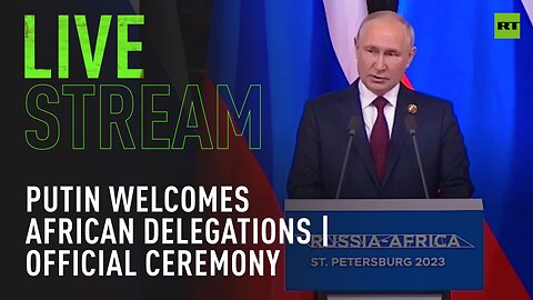 Putin welcomes leaders of African delegations: official ceremony