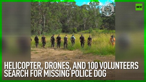 Helicopter, drones, and 100 volunteers search for missing police dog
