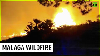 Forest fire batters Malaga, Spain, prompts evacuation
