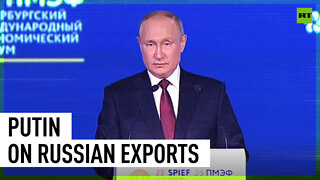 Russia ready to discuss increasing exports - Putin
