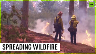 The Mosquito Fire burns hundreds of sq kilometers in California
