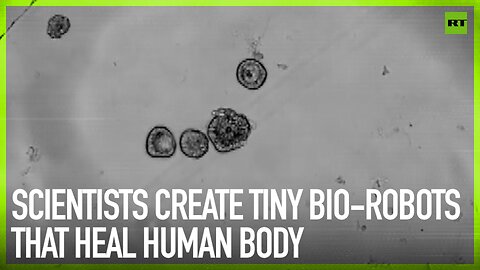Scientists create tiny bio-robots that heal human body