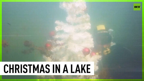 Underneath the Christmas… lake! Bosnian divers place festive tree in deep waters