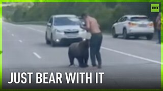 Motorway encounter | Russians hand-feed wild bear (because why not)