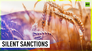 West's dirty little tricks | Russian grain exporters report hidden sanctions