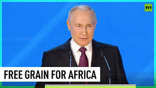 Russia's willing to send food to Africa free of charge - Putin