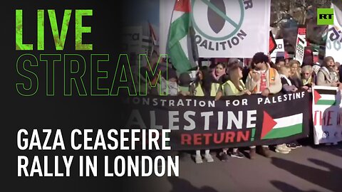 Protesters demand Gaza ceasefire outside US Embassy in London