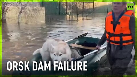 Dam collapse in Russia | Thousands of houses flooded, search and rescue underway