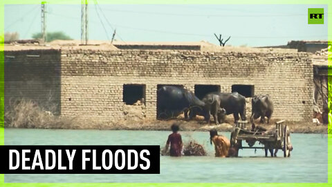 Pakistanis warned of more floods, forced to move