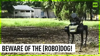 Chinese assault robodog SHOOTS little drone out of modified mortar