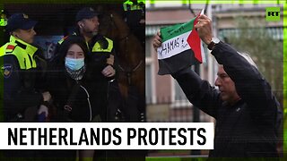 Anti-Islam activist rips Palestinian flag, rival protesters detained in the Hague