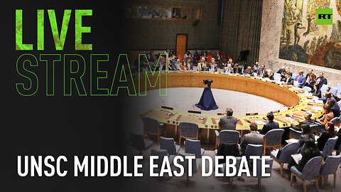 UN Security Council debates Middle East, Palestine