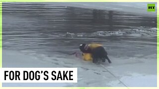 Man’s best friend | Doggie rescued from icy pond
