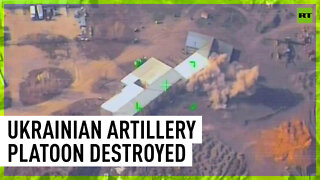 Russian forces destroy Ukrainian artillery platoon