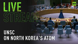UNSC holds meeting on nuclear non-proliferation & North Korea