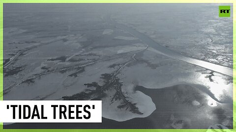 Mesmerizing winter landscapes create ‘tidal trees’ on Yellow River