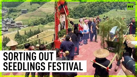'Sorting out Seedlings’ traditional festival celebrated in China