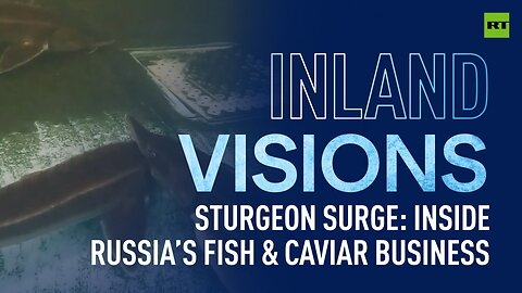 Inland Visions | Sturgeon surge: Inside Russia’s fish & caviar business