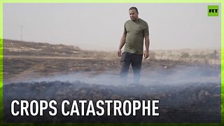 Fire destroys vital crops of Palestinian farmers | Who’s to blame?