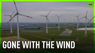 Germany’s new wind farm slammed by environmental campaigners