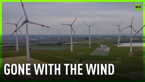 Germany’s new wind farm slammed by environmental campaigners