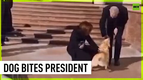 Moldovan president’s dog bites Austrian head of state