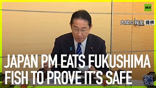Japan PM eats Fukushima fish to prove it’s safe