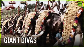 Elephants show off stunning outfits at Hindu temple festival