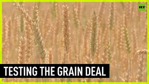 Russia agrees to extend grain deal for 60 days, seeks export barrier removal