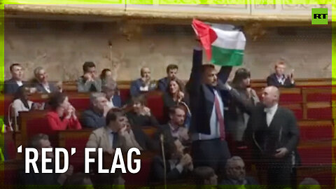 French MP thrown out for waving Palestinian flag during debate
