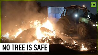 Trees go down and trash burns as Spanish farmers protest