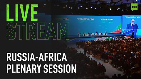 Putin takes part in plenary session at Russia-Africa Summit 2023