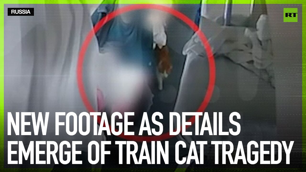New footage as details emerge of train cat tragedy