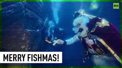 Santa Claus feeds fish at Munich aquarium