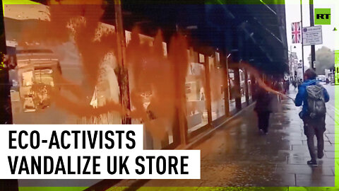 ‘Just Stop Oil’ protesters spray paint on Harrods store, stop traffic in central London
