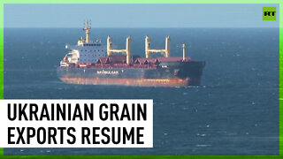 Ships carrying Ukrainian grain reach Turkey