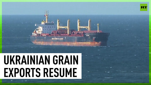Ships carrying Ukrainian grain reach Turkey