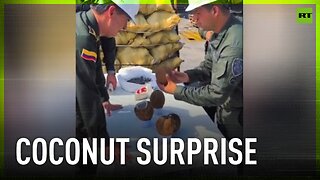 176 kilos of cocaine hidden in coconuts seized in Colombia