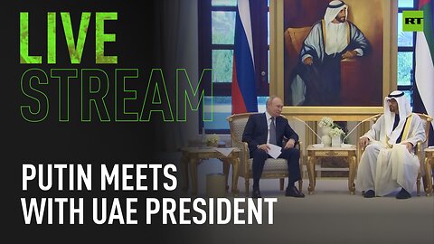 Putin pays official visit to UAE