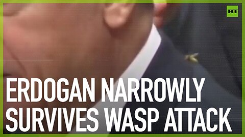 Erdogan narrowly survives wasp attack