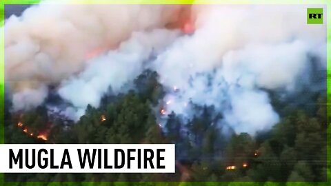 Wildfire ravages Turkey's Mugla province