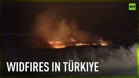 Massive wildfires grip southeastern Türkiye