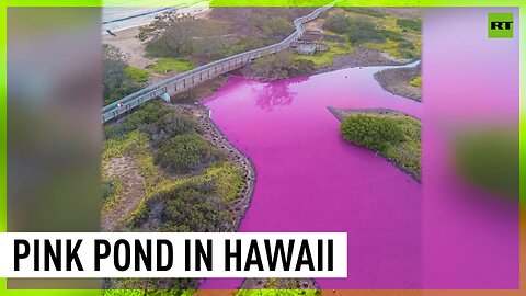 Pond turns pink in Hawaii