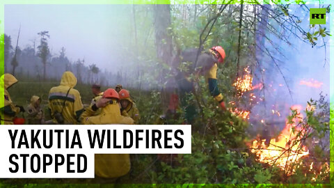 24 major wildfires prevented in Russia - Forest protection agency