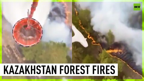 Forest fires ravage Kazakhstan’s Abai region
