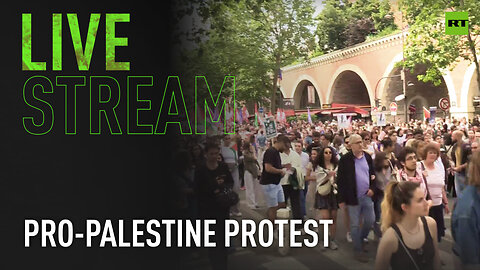 Pro-Palestine demonstrators rally in Paris
