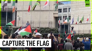 Palestine supporter tears Israeli flag from FAO HQ during protest in Rome