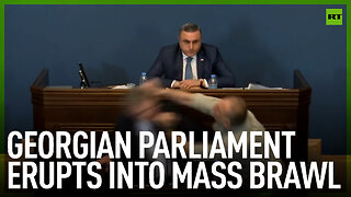 Georgian parliament erupts into mass brawl