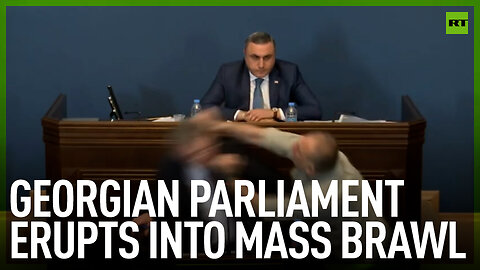 Georgian parliament erupts into mass brawl