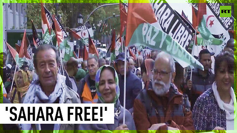 'They will not shut us up' | Madrid rally for Western Sahara autonomy
